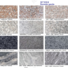 2026_06_29_05_19_02_IMG_1601 Natural Granite Tiles & Slabs, Domestic & Brazil Imported Granite, Custom Size & Small‑batch Orders for Facade, Floor & Hotel Project