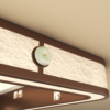 客厅灯_14. Ceiling Light